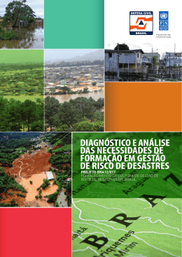 DIAGN&Oacute;STICO E AN&Aacute;LISE DAS NECESSIDADES DE