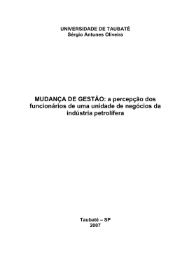 Disserta&ccedil;&atilde;o v 30.06.2007