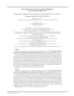 First confirmed record of Feresa attenuata - CAR-SPAW-RAC