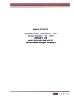 FINANCIAL STATEMENTS FDNDD BRASILEIRD PARA A