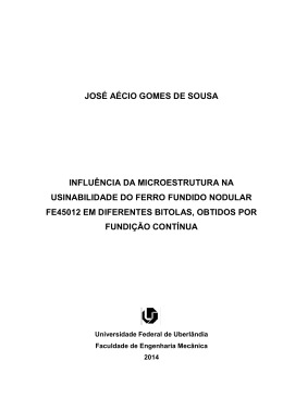jos&eacute; a&eacute;cio gomes de sousa influ&ecirc;ncia da microestrutura na