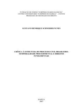 GUSTAVO HENRIQUE SCHNEIDER NUNES CR&Iacute;TICA &Agrave;