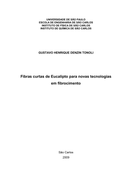 Fibras curtas de Eucalipto para novas tecnologias em