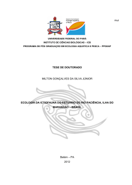 mui TESE DE DOUTORADO MILTON GON&Ccedil;ALVES DA SILVA