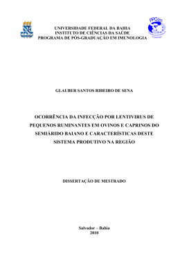 Disserta&ccedil;&atilde;o_ICS_Glauber Santos Ribeiro de Sena