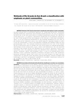 Wetlands of Rio Grande do Sul, Brazil: a classification with