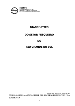 DIAGN&Oacute;STICO DO SETOR PESQUEIRO DO RIO GRANDE DO SUL