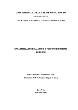 diss marcela luciana figueiredo couto demin prot