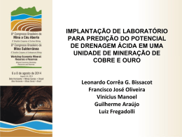 A predi&ccedil;&atilde;o do potencial de drenagem &aacute;cida em uma