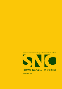 Estruturação, Institucionalização e Implementação do SNC
