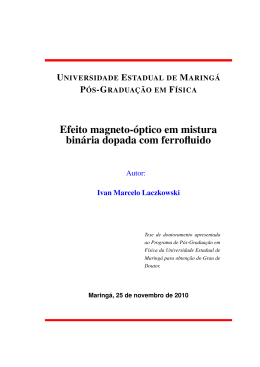 Efeito magneto-&oacute;ptico em mistura bin&aacute;ria dopada com ferrofluido