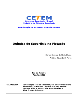 Visualizar/Abrir - Mineralis - Centro de Tecnologia Mineral