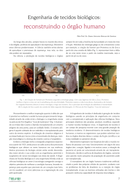 reconstruindo o &oacute;rg&atilde;o humano