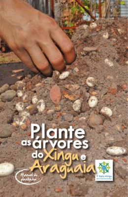 Plante - Rede de Sementes do Xingu
