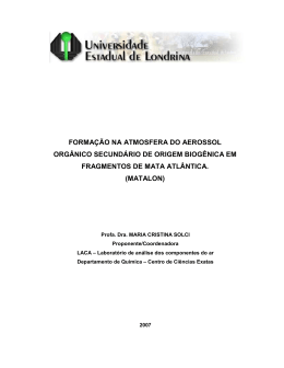 forma&ccedil;&atilde;o na atmosfera do aerossol org&acirc;nico secund&aacute;rio de origem