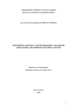 Dissertação Luiz Turma 2007