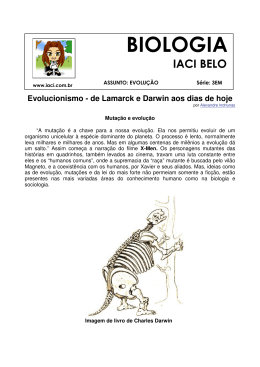 evolu&ccedil;&atilde;o - hist&oacute;ria