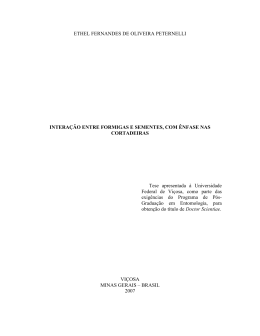 ETHEL FERNANDES DE OLIVEIRA PETERNELLI