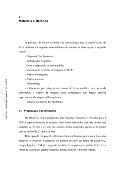 4 Materiais e M&eacute;todos - Maxwell - PUC-Rio
