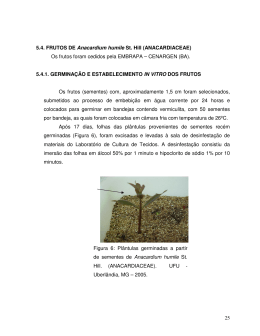 InducaoRespostasMorfogeneticas_parte 2