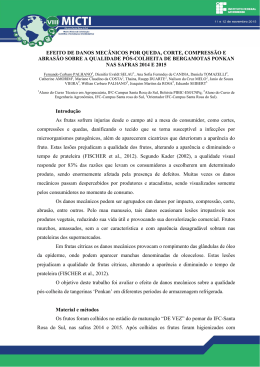 efeito de danos mec&acirc;nicos por queda, corte