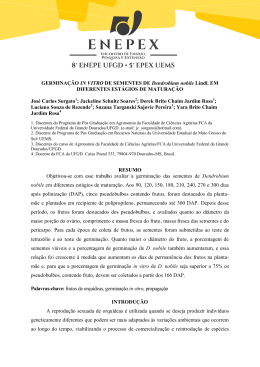 GERMINA&Ccedil;&Atilde;O IN VITRO DE SEMENTES DE Dendrobium