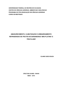 e `prata-an&atilde;`