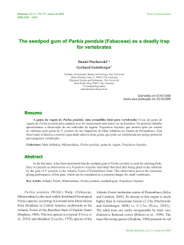 The seedpod gum of Parkia pendula