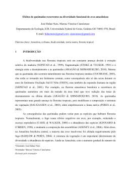 Jose Hidasi Neto