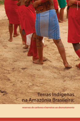 Terras Indígenas na Amazônia Brasileira: reservas de
