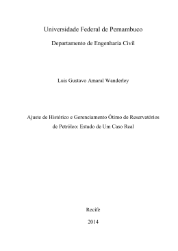 DISSERTA&Ccedil;&Atilde;O Luis Gustavo Amaral Wanderley