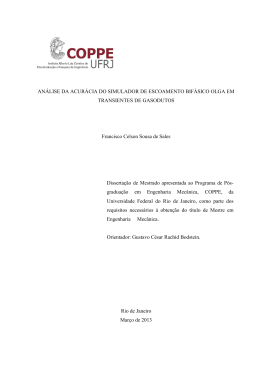 AN&Aacute;LISE DA ACUR&Aacute;CIA DO SIMULADOR DE ESCOAMENTO