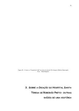 3. sobre a cria&ccedil;&atilde;o do hospital santa teresa de ribeir&atilde;o preto: outras