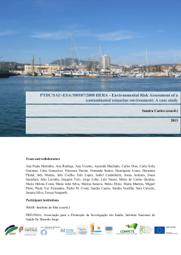Environmental Risk Assessment of a contaminated estuarine