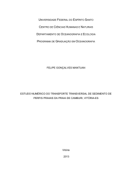 FELIPE GON&Ccedil;ALVES MANTUAN ESTUDO NUM&Eacute;RICO DO