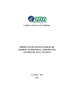 DISSERTACAO_Produ&ccedil;&atilde;o de hastes florais de g&eacute;rbera