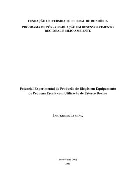 DISSERTA&Ccedil;&Atilde;O ENIO GOMES - 2013