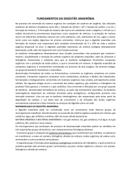 FUNDAMENTOS DA DIGEST&Atilde;O ANAER&Oacute;BIA