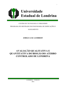 DISSERTA&Ccedil;&Atilde;O JORGE AUDIBERT
