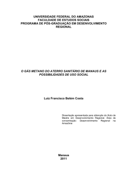 Disserta&ccedil;&atilde;o - Luiz Francisco Bel&eacute;m Costa - TEDE