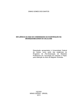 Dimas Gomes dos - Laborat&oacute;rio de Celulose e Papel