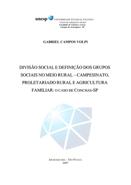 DIVIS&Atilde;O SOCIAL E DEFINI&Ccedil;&Atilde;O DOS GRUPOS SOCIAIS NO MEIO