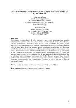 DETERMINANTES DA PERFORMANCE DOS FUNDOS