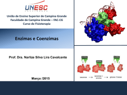 Enzimas e Coenzimas