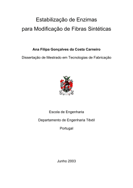 Estabiliza&ccedil;&atilde;o de Enzimas para Modifica&ccedil;&atilde;o de Fibras