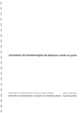 processos de transforma&ccedil;&atilde;o da estrutura verde no porto