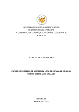 Disserta&ccedil;&atilde;o.Elder Felipe Silva