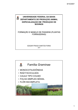 Forma&ccedil;&atilde;o e Manejo de Pastagens - Universidade Federal da Bahia