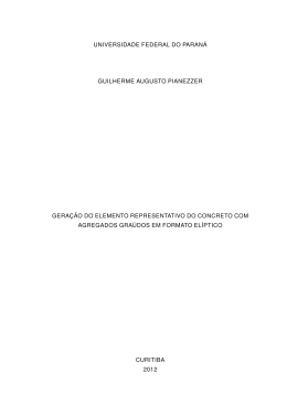 GUILHERME AUGUSTO PIANEZZER - UFPR