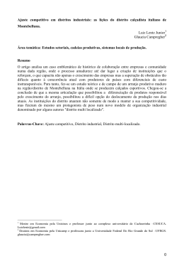 0 Ajuste competitivo em distritos industriais: as li&ccedil;&otilde;es do